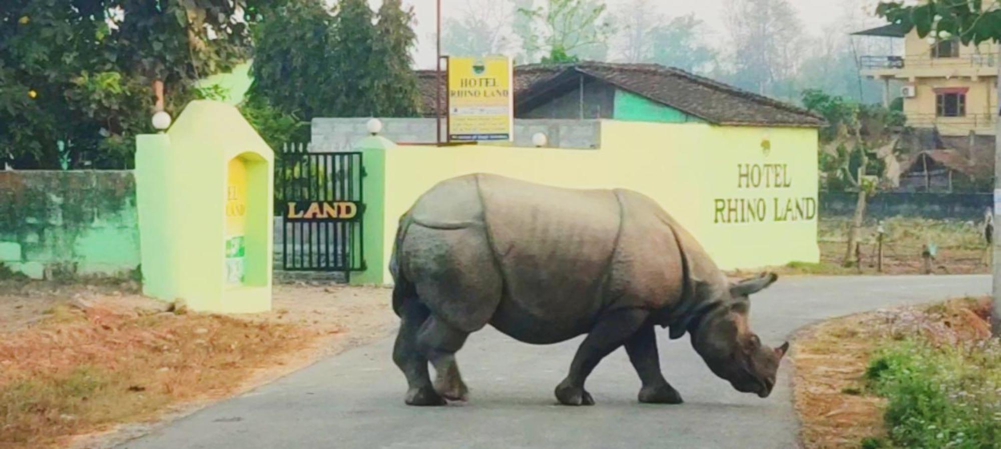 Hotel Rhino Land, 사우라하 외부 사진